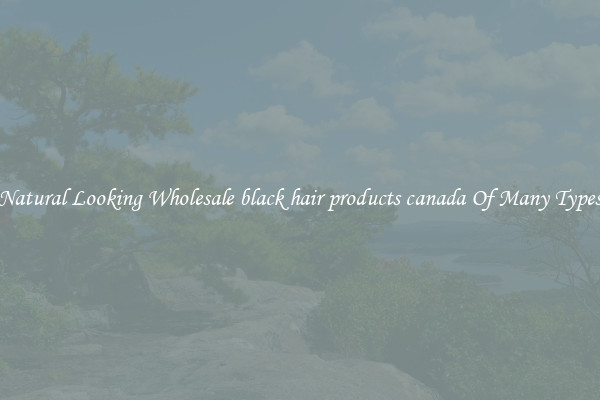 Natural Looking Wholesale black hair products canada Of Many Types