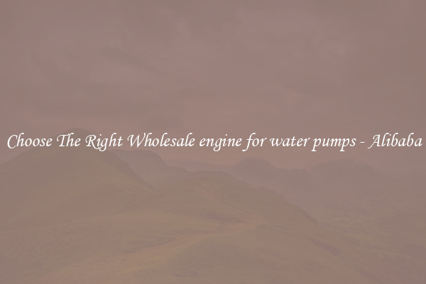 Choose The Right Wholesale engine for water pumps - Alibaba