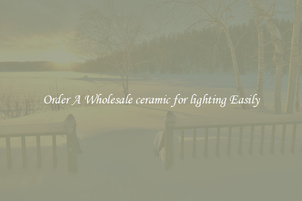Order A Wholesale ceramic for lighting Easily
