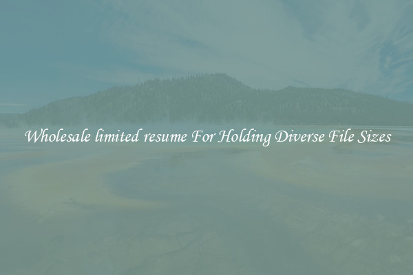 Wholesale limited resume For Holding Diverse File Sizes
