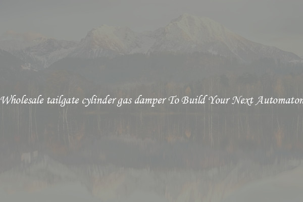 Wholesale tailgate cylinder gas damper To Build Your Next Automaton