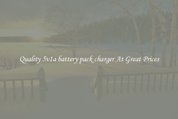 Quality 5v1a battery pack charger At Great Prices
