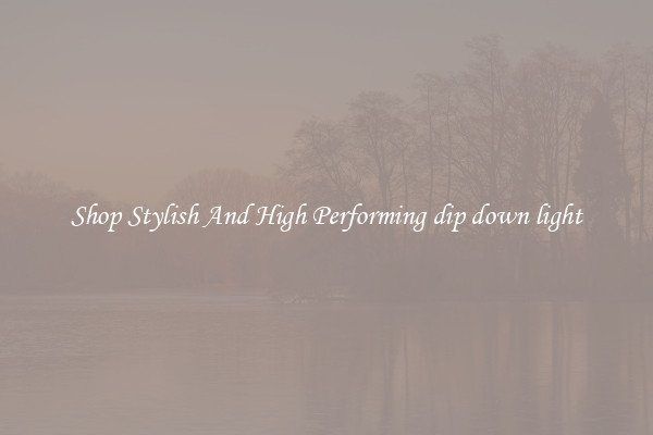 Shop Stylish And High Performing dip down light