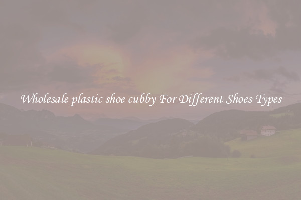 Wholesale plastic shoe cubby For Different Shoes Types