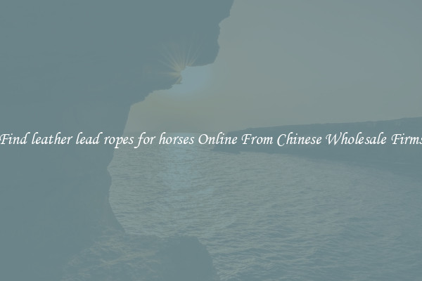 Find leather lead ropes for horses Online From Chinese Wholesale Firms