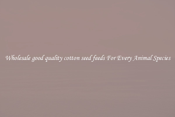 Wholesale good quality cotton seed feeds For Every Animal Species