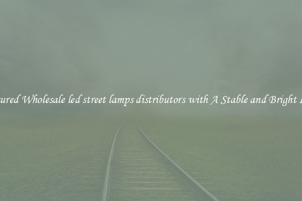 Featured Wholesale led street lamps distributors with A Stable and Bright Light