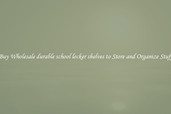 Buy Wholesale durable school locker shelves to Store and Organize Stuff