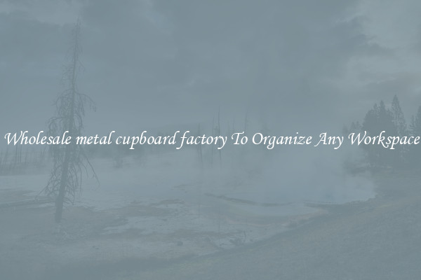 Wholesale metal cupboard factory To Organize Any Workspace