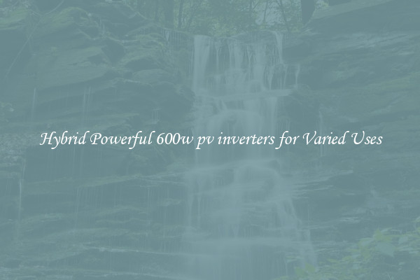 Hybrid Powerful 600w pv inverters for Varied Uses