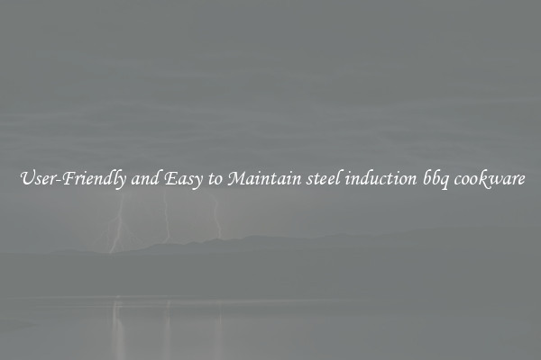 User-Friendly and Easy to Maintain steel induction bbq cookware