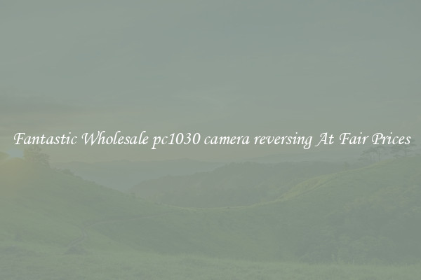 Fantastic Wholesale pc1030 camera reversing At Fair Prices
