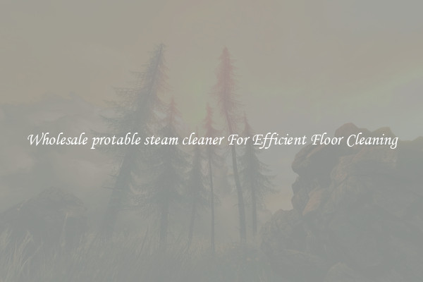 Wholesale protable steam cleaner For Efficient Floor Cleaning
