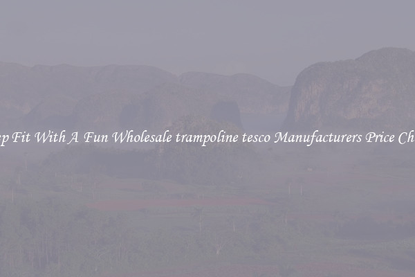 Keep Fit With A Fun Wholesale trampoline tesco Manufacturers Price Cheap 