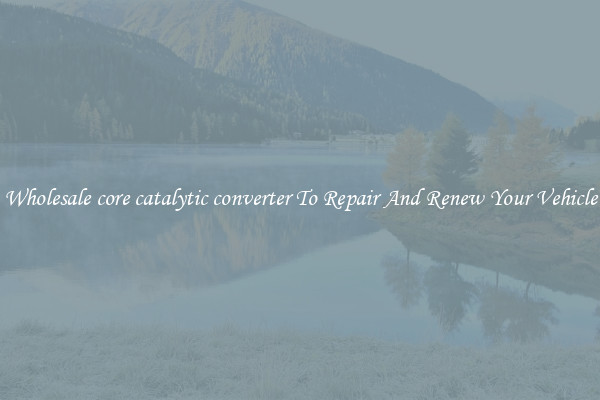 Wholesale core catalytic converter To Repair And Renew Your Vehicle