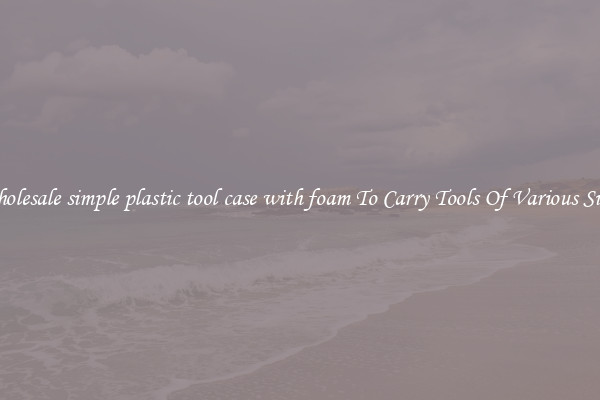 Wholesale simple plastic tool case with foam To Carry Tools Of Various Sizes