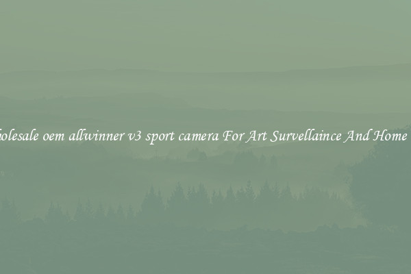 Wholesale oem allwinner v3 sport camera For Art Survellaince And Home Use