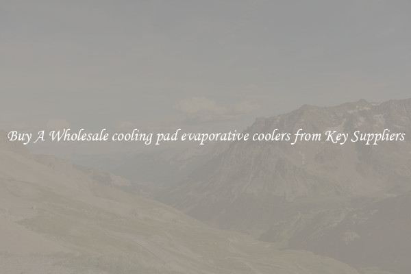 Buy A Wholesale cooling pad evaporative coolers from Key Suppliers
