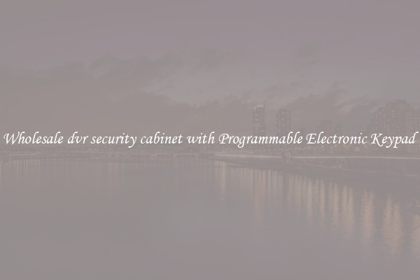Wholesale dvr security cabinet with Programmable Electronic Keypad 
