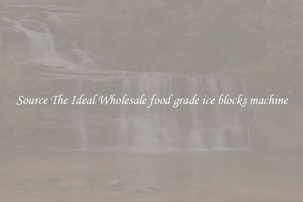 Source The Ideal Wholesale food grade ice blocks machine
