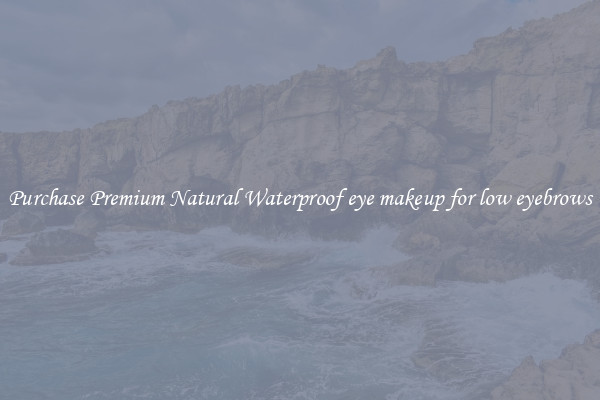 Purchase Premium Natural Waterproof eye makeup for low eyebrows