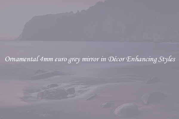 Ornamental 4mm euro grey mirror in Décor Enhancing Styles