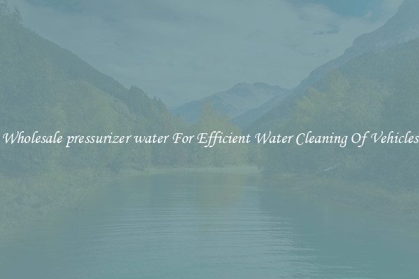 Wholesale pressurizer water For Efficient Water Cleaning Of Vehicles