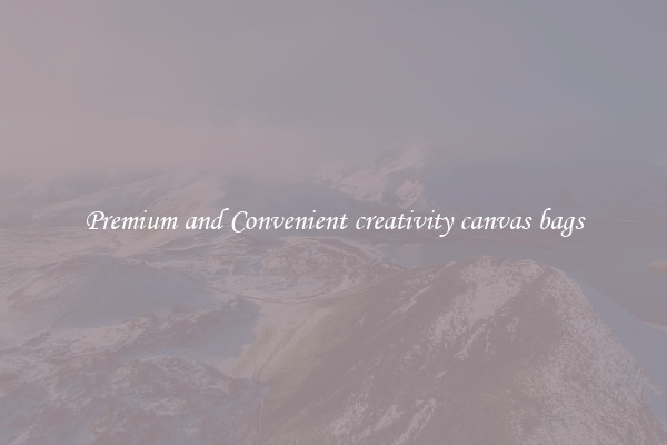 Premium and Convenient creativity canvas bags