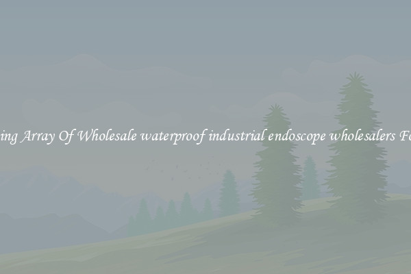 Amazing Array Of Wholesale waterproof industrial endoscope wholesalers For Sale